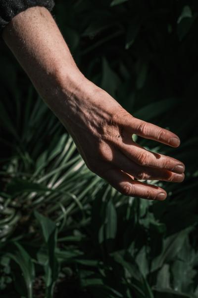 Hand in front of green plants